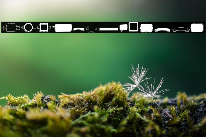 KG Flavor And Frames Six Example 2