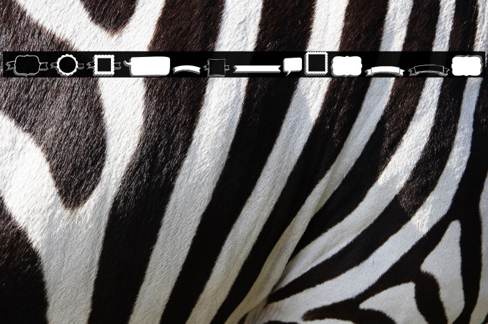 KG Flavor And Frames Six Example 3