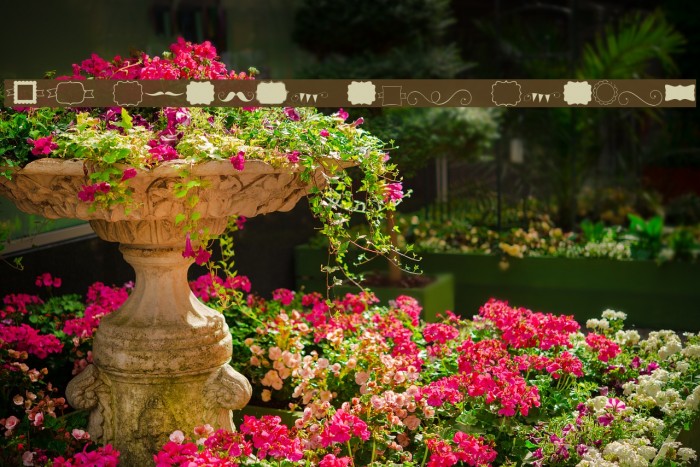 KG Flavor and Frames Example 1