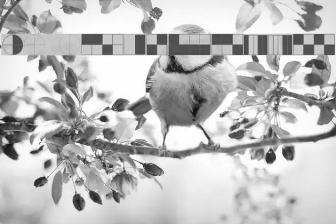 KG Fractions Font examples