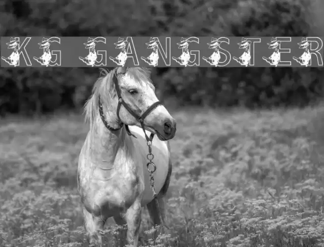 KG GANGSTER Font examples