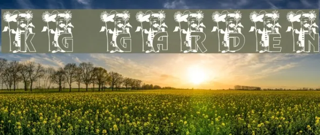KG GARDEN Example 3
