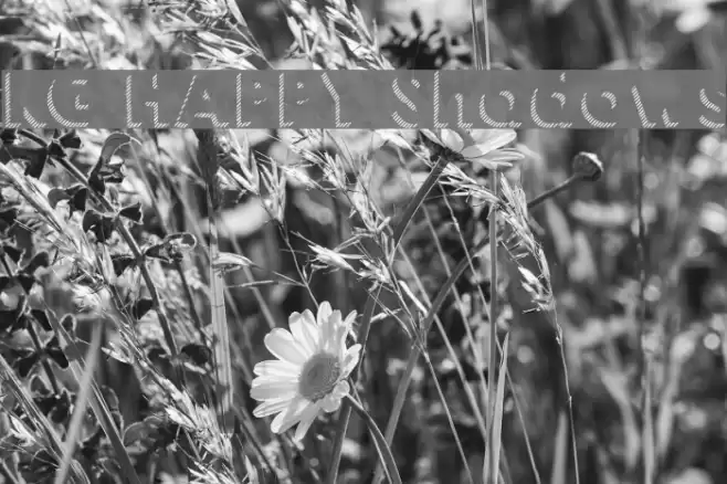 KG HAPPY Shadows Font examples