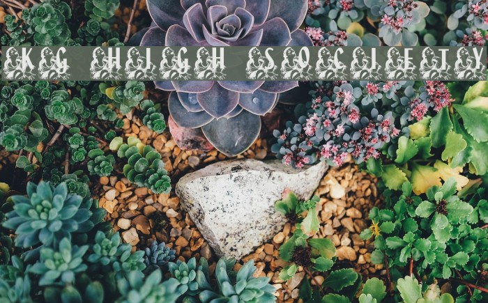 KG HIGH SOCIETY Font examples