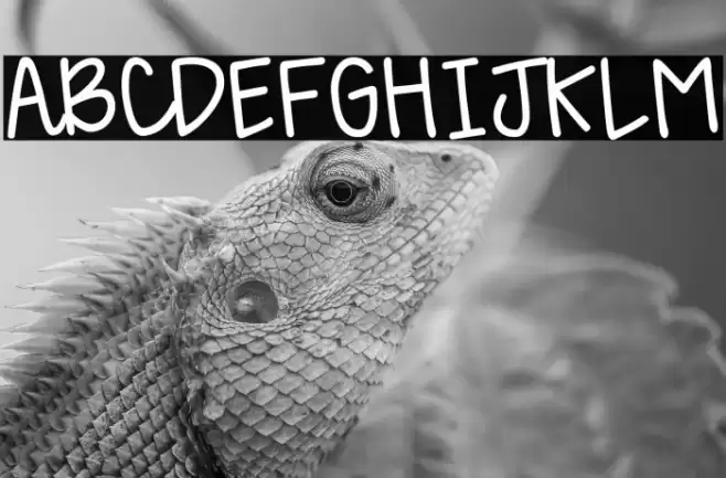 KG Happy Lauren خط examples