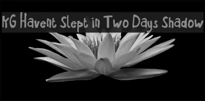 KG Havent Slept in Two Days Shadow Font examples