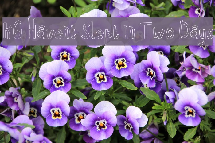 KG Havent Slept in Two Days Font examples