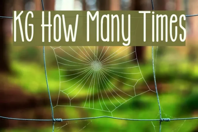 KG How Many Times Example 3
