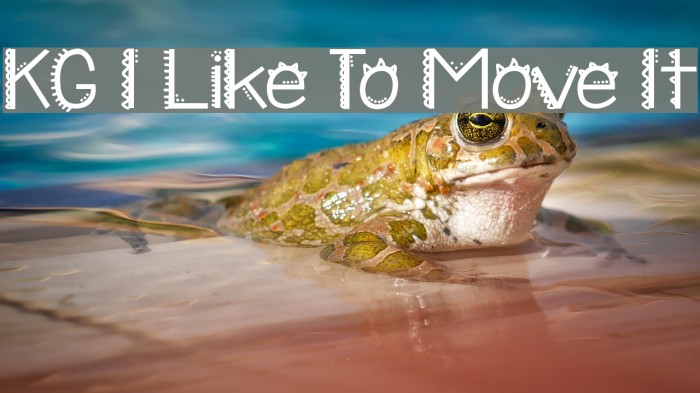 KG I Like To Move It Font examples