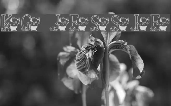 KG JESSIE Font examples