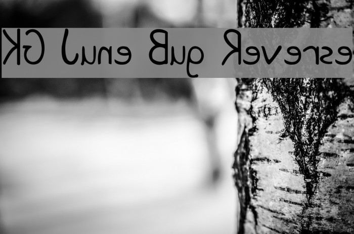 KG June Bug Reverse Font examples