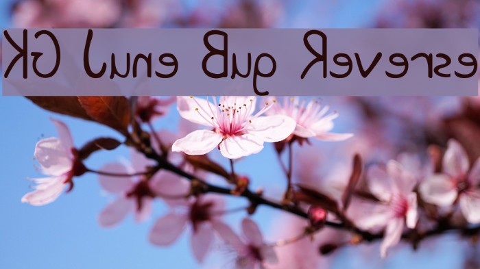 KG June Bug Reverse Font examples