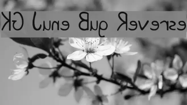 KG June Bug Reverse خط examples