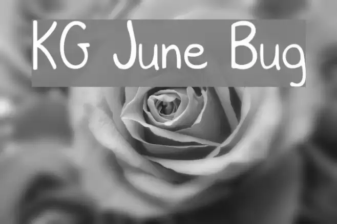 KG June Bug Polices examples