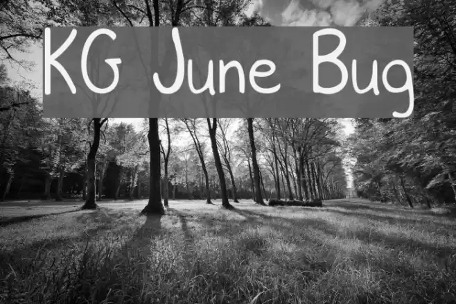 KG June Bug Polices examples