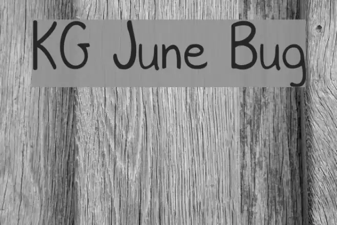 KG June Bug Polices examples