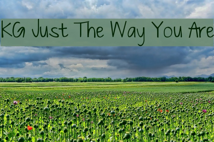 KG Just The Way You Are Font examples