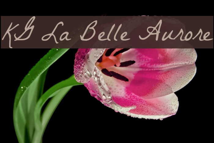 KG La Belle Aurore Font examples