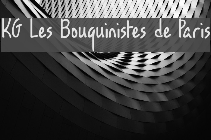 KG Les Bouquinistes de Paris Example 2