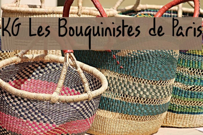 KG Les Bouquinistes de Paris Example 3