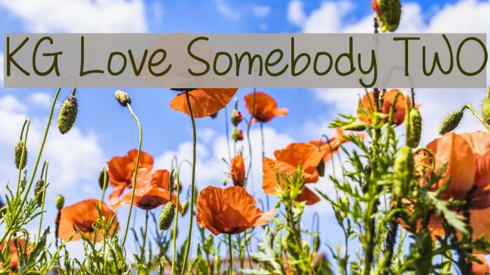 KG Love Somebody TWO Font examples