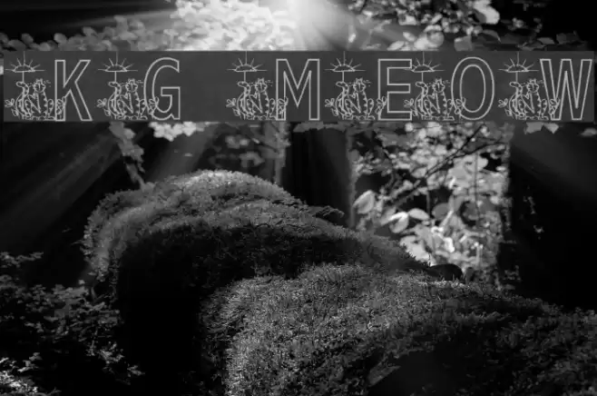 KG MEOW2 Font examples
