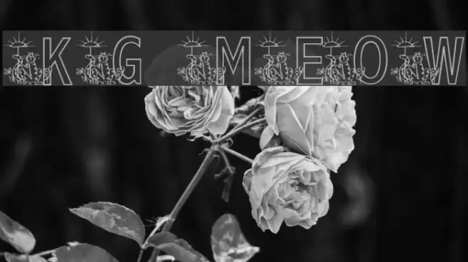 KG MEOW2 Font examples