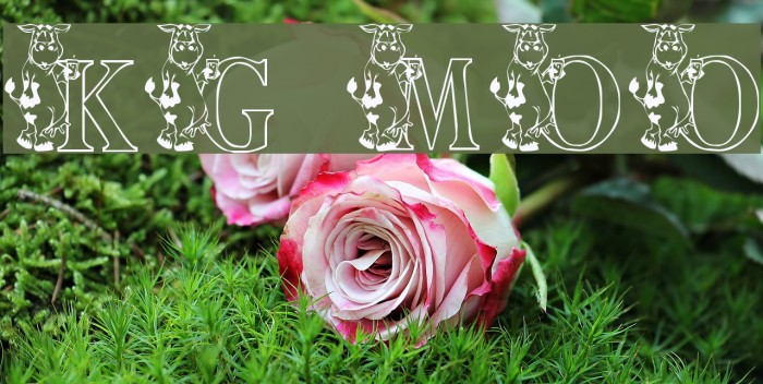 KG MOO Font examples