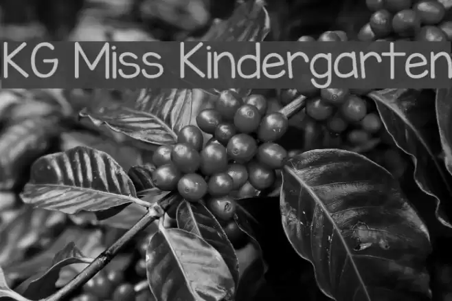 KG Miss Kindergarten Font examples