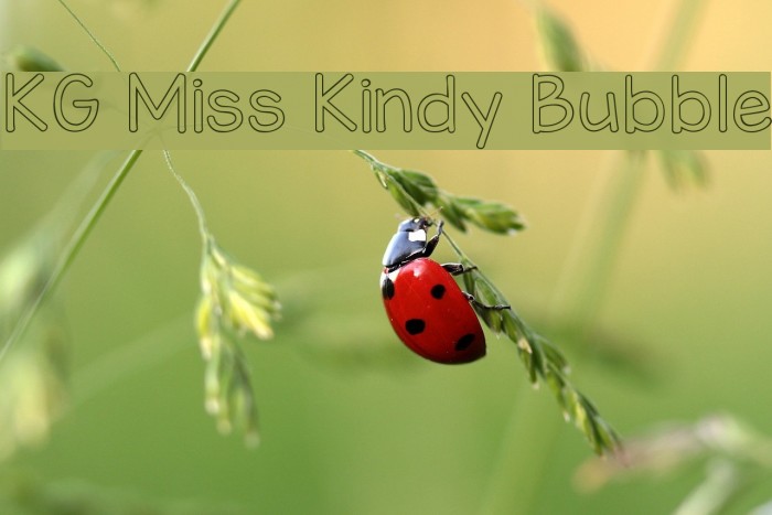 KG Miss Kindy Bubble Font examples