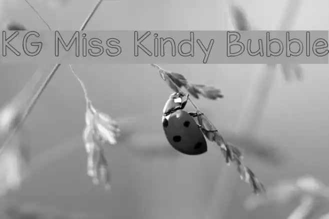 KG Miss Kindy Bubble  examples