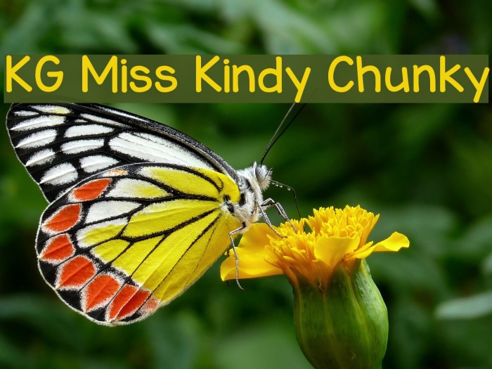 KG Miss Kindy Chunky Font examples