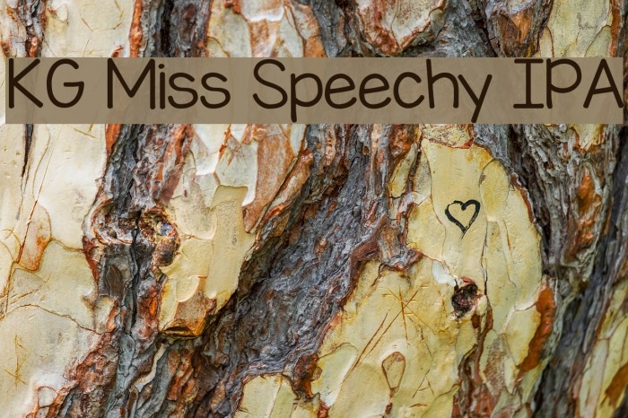 KG Miss Speechy IPA Font examples