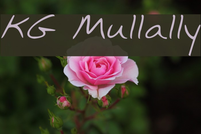 KG Mullally Example 1