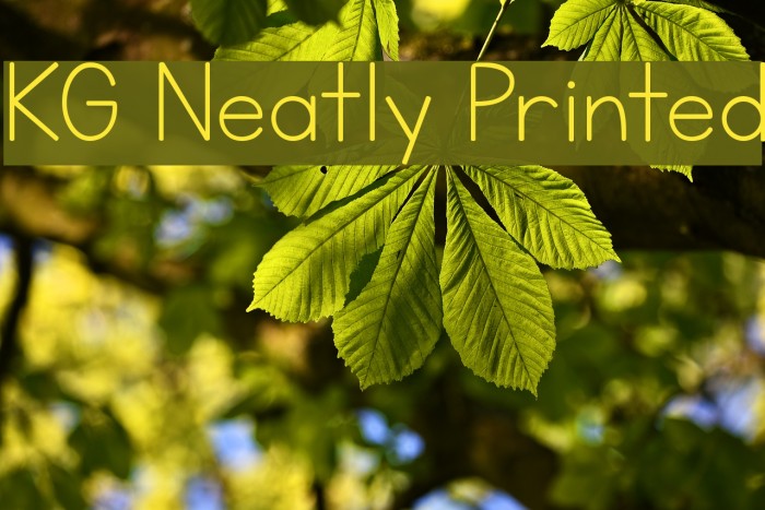 KG Neatly Printed Example 1