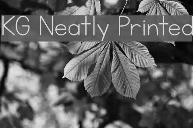 KG Neatly Printed Font examples