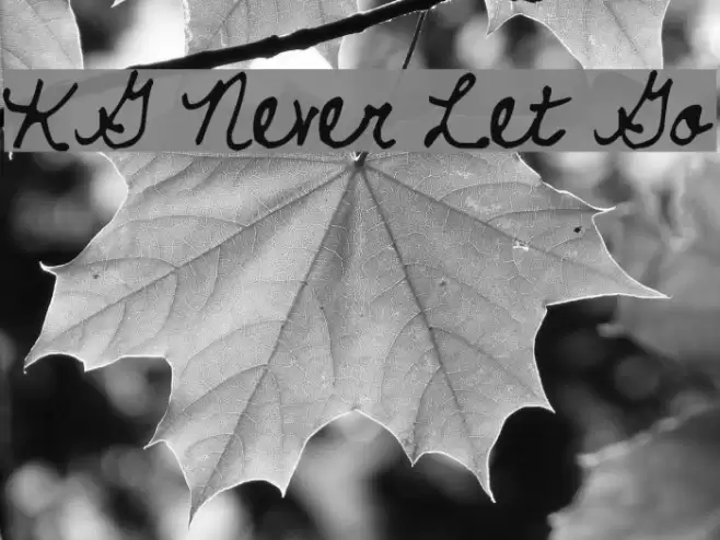 KG Never Let Go Font examples