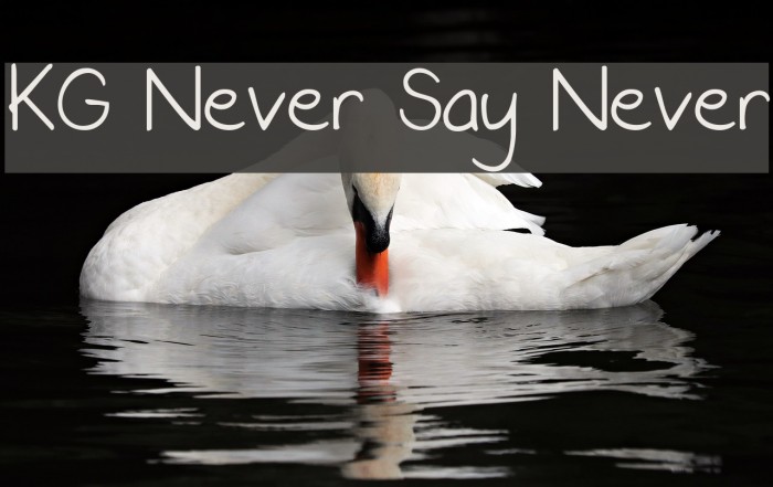 KG Never Say Never Example 1