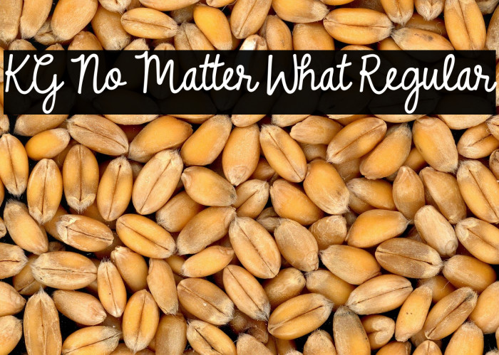 KG No Matter What Regular Example 2