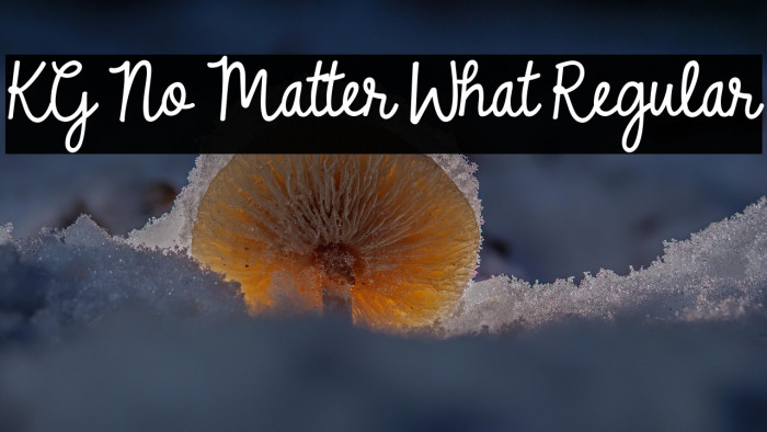 KG No Matter What Regular Example 3