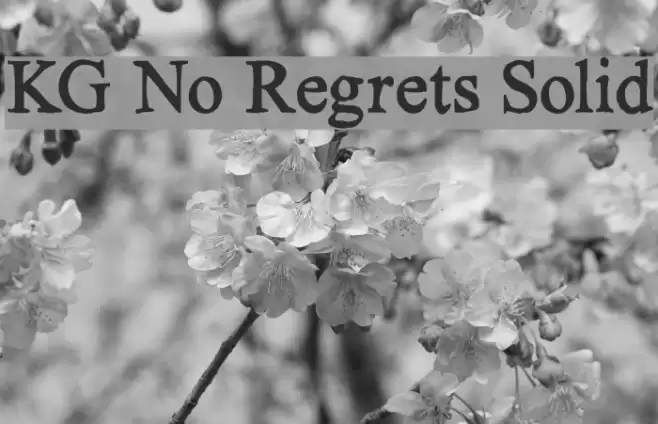 KG No Regrets Solid Font examples