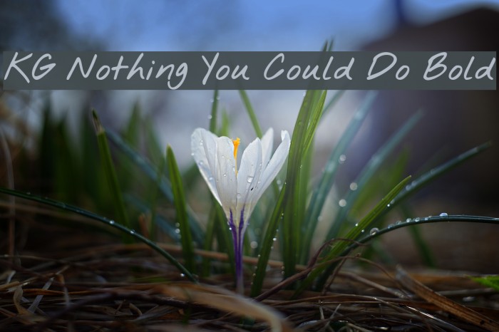 KG Nothing You Could Do Bold Font examples