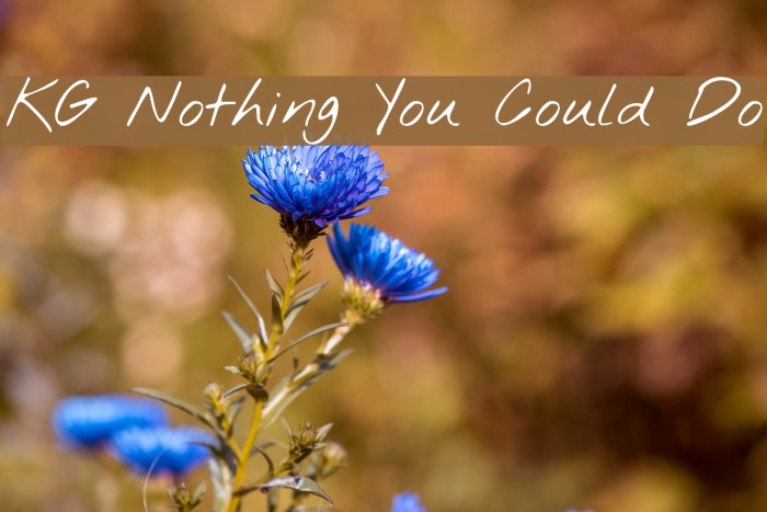 KG Nothing You Could Do Font examples