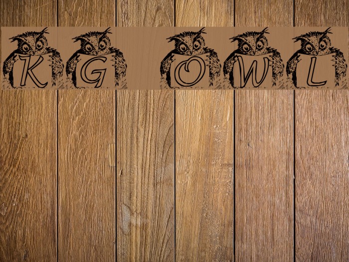 KG OWL2 Font examples