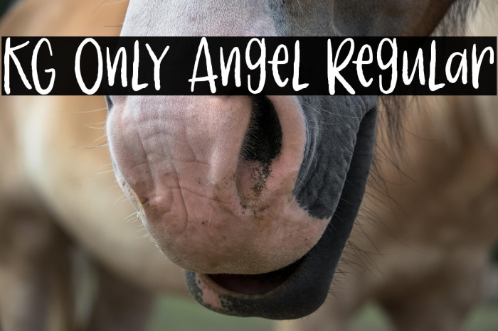 KG Only Angel Regular Example 3