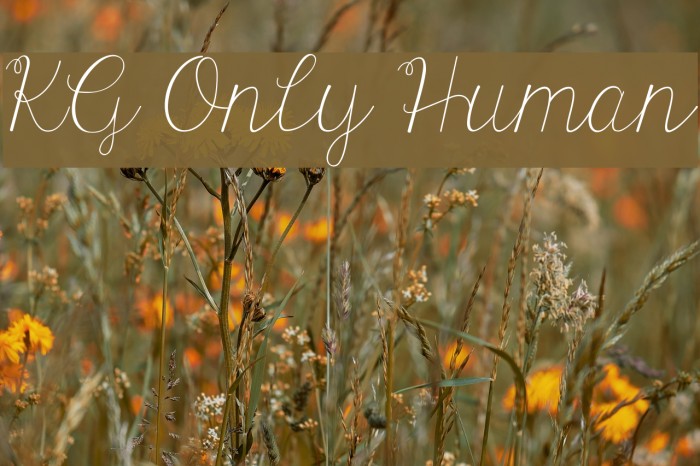 KG Only Human Font examples