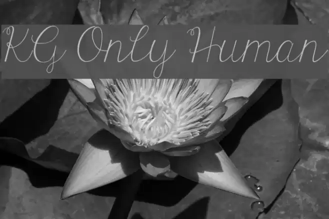 KG Only Human Font examples