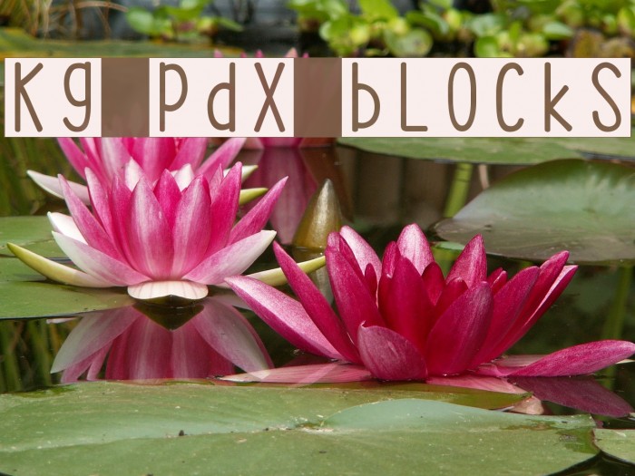 KG PDX Blocks Font examples