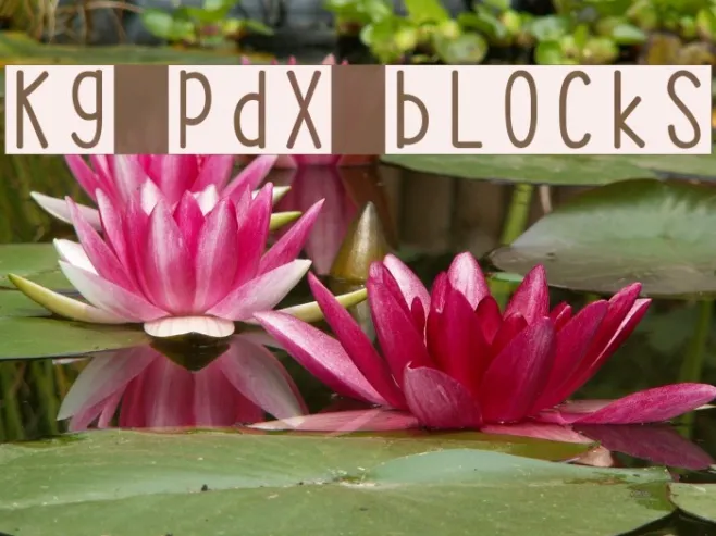 KG PDX Blocks Example 1