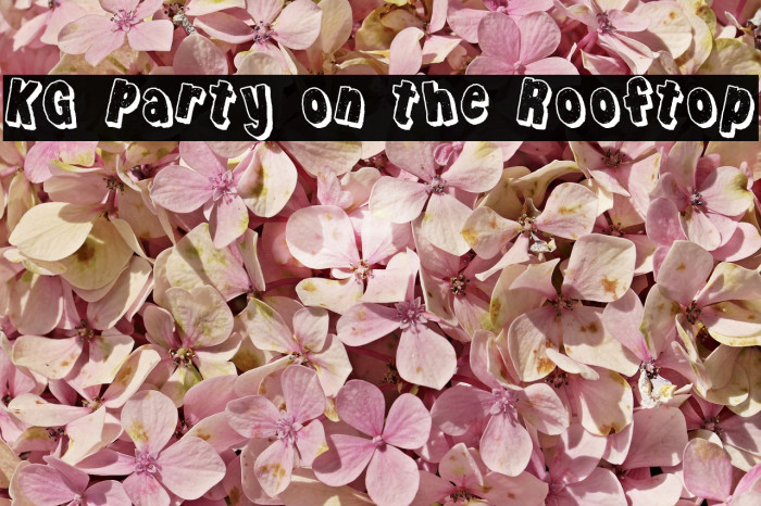 KG Party on the Rooftop Font examples